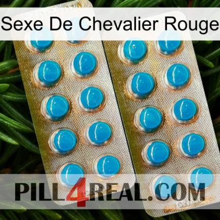 Red Knight Sex new08